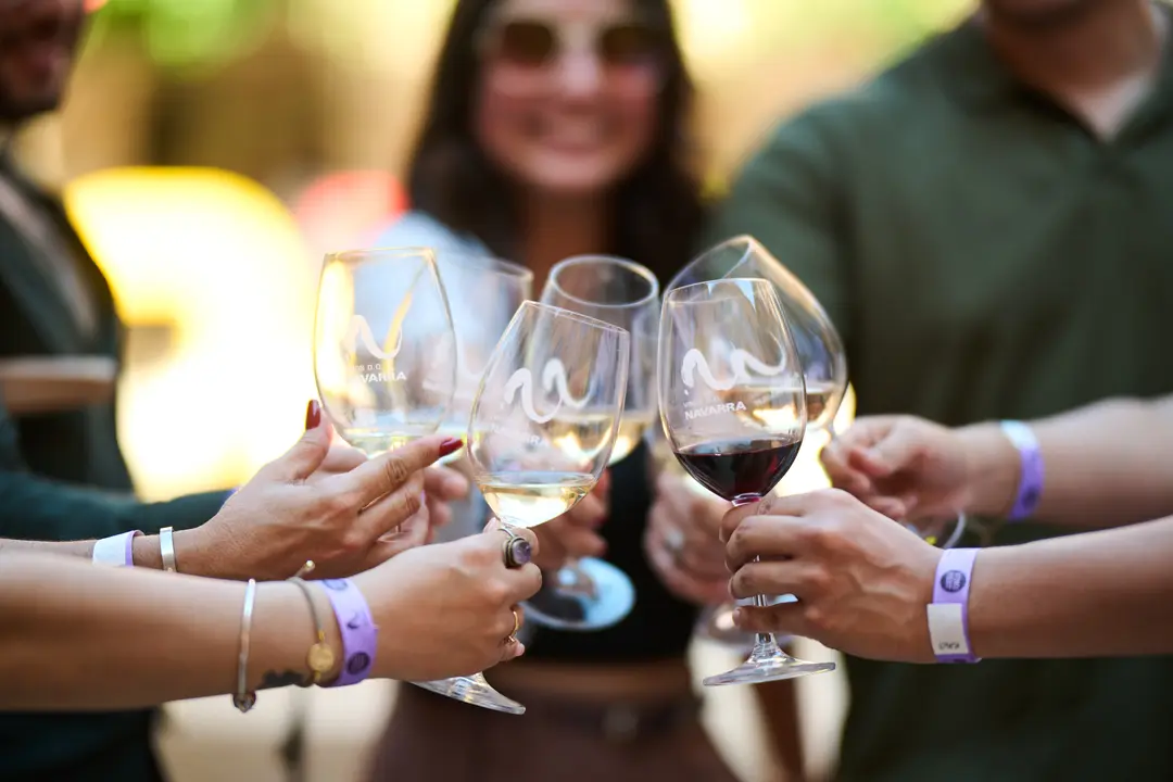 Vinofest en Tudela 2026 71