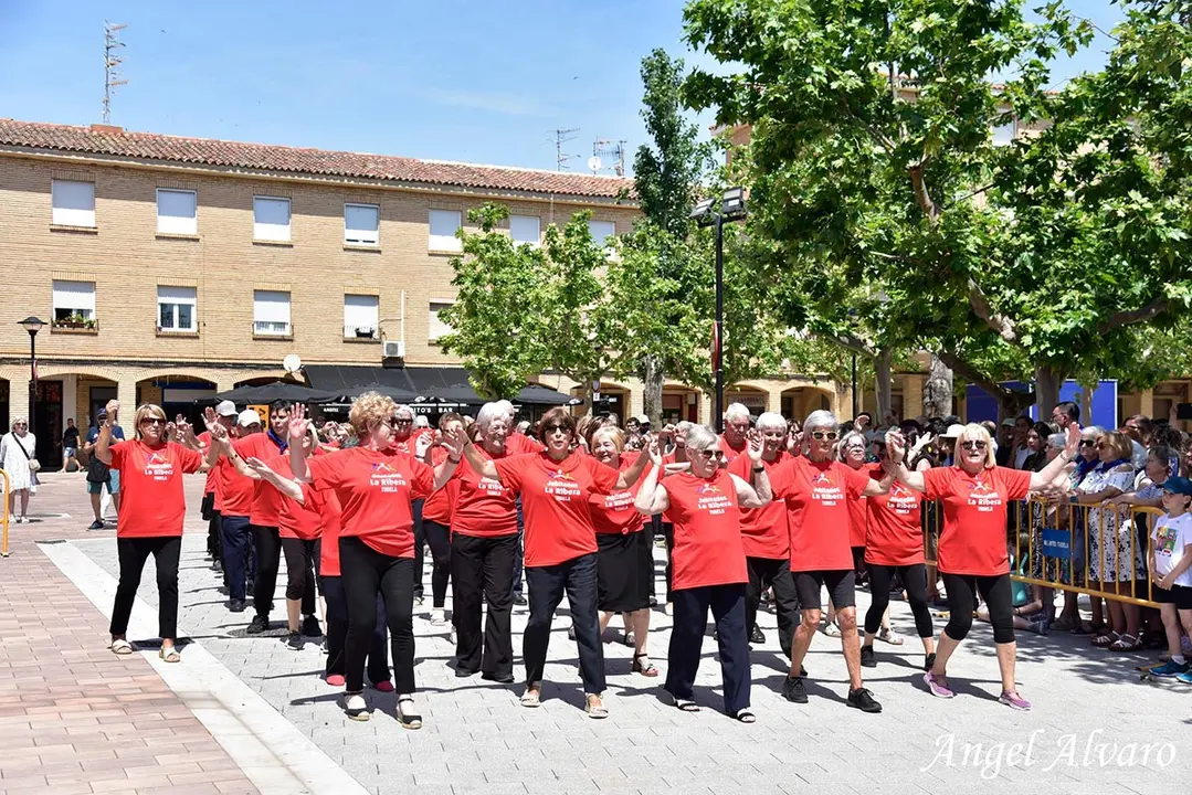 75&ordm; Aniversario en Tudela de la consolidaci&oacute;n del Barrio de Lourdes 37