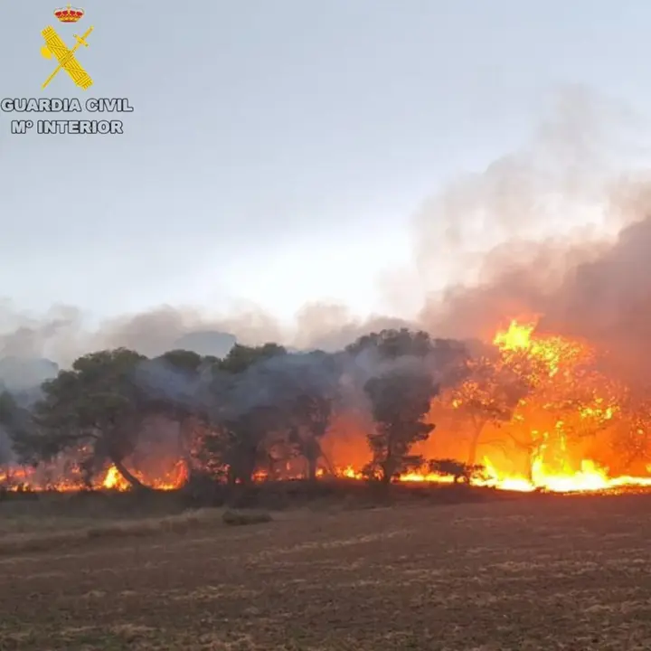 Incendio de arbolado en el embalse El Ferial, en las Bardenas.