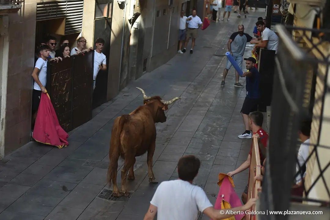 Fiestas de la Juventud en Peralta 2026 81