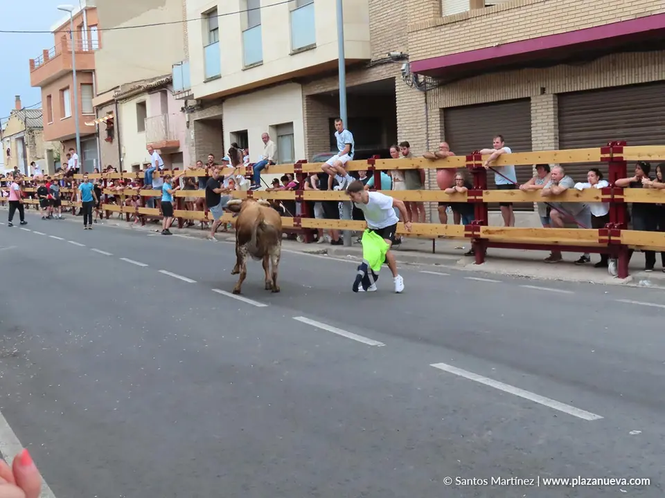 Fiestas de la Juventud en Murchante 2026 6