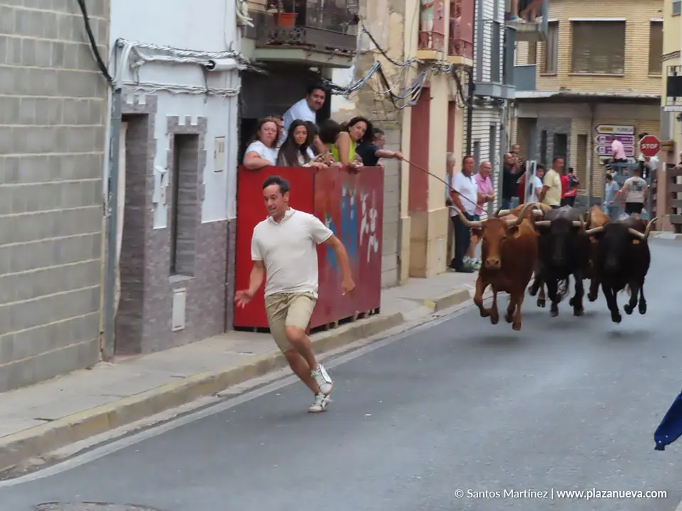 Fiestas de la Juventud en Murchante 2026 7