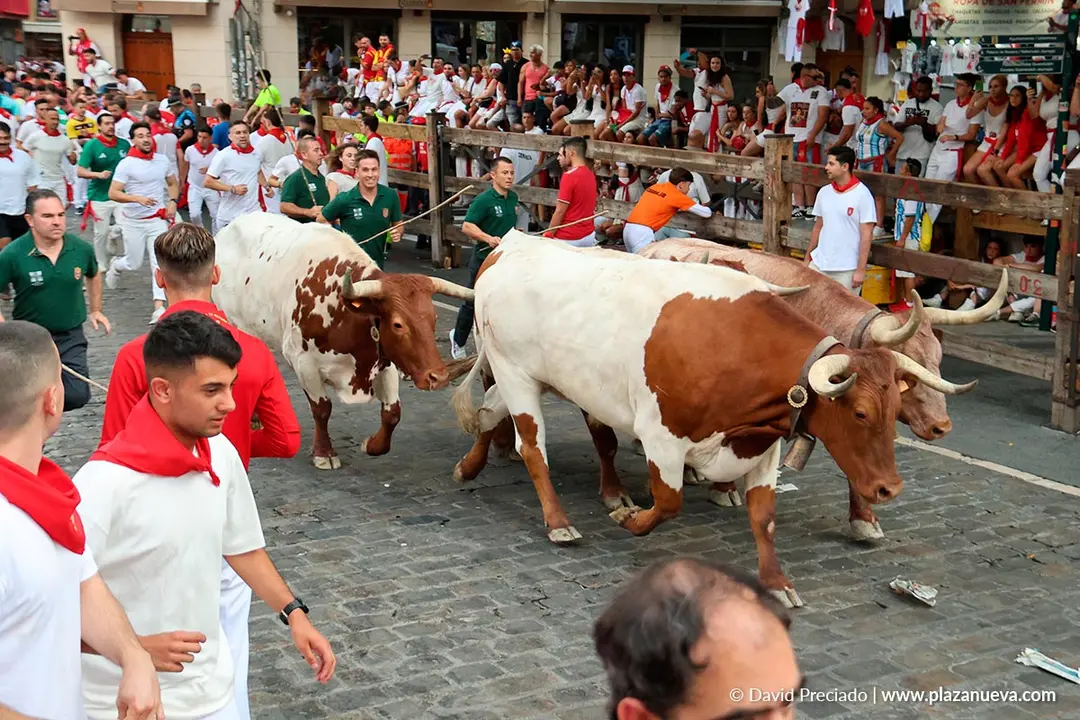 Encierro de San Ferm&iacute;n d&iacute;a 12 2026 49