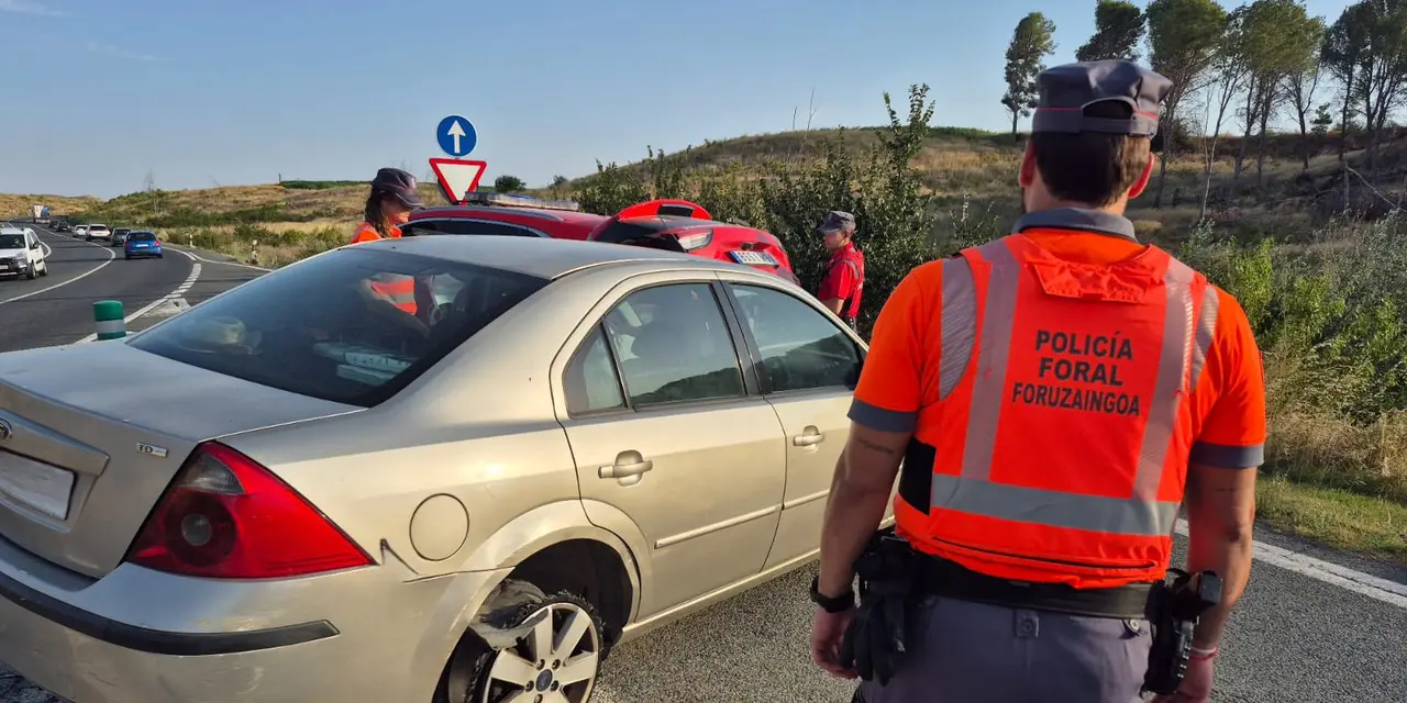 Polic&iacute;a Foral