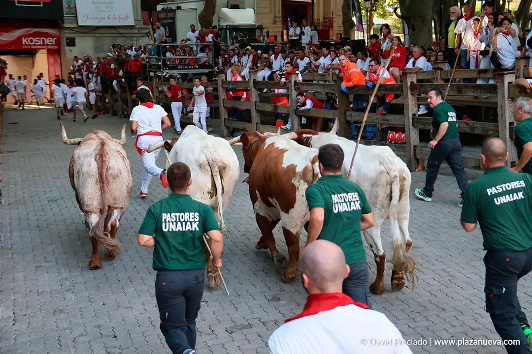 Encierro de San Ferm&iacute;n d&iacute;a 14 2026 69