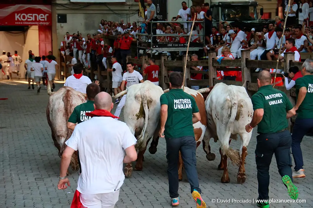 Encierro de San Ferm&iacute;n d&iacute;a 14 2026 70