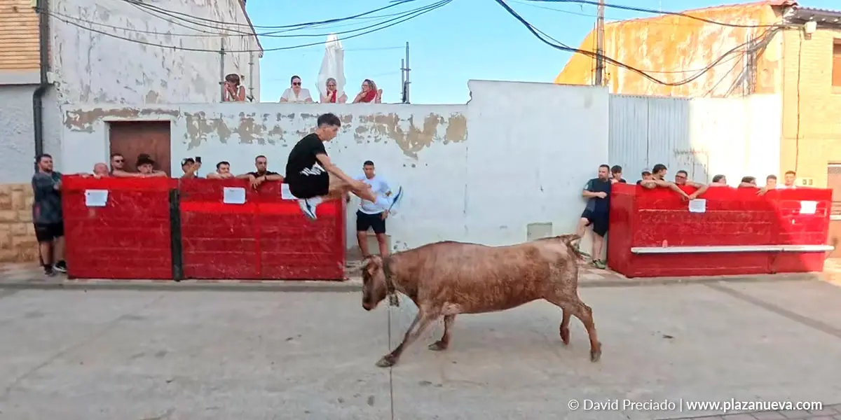 Emoci&oacute;n, buenos recortes y mucho ambiente en el &uacute;ltimo encierro de las Fiestas de Cadreita