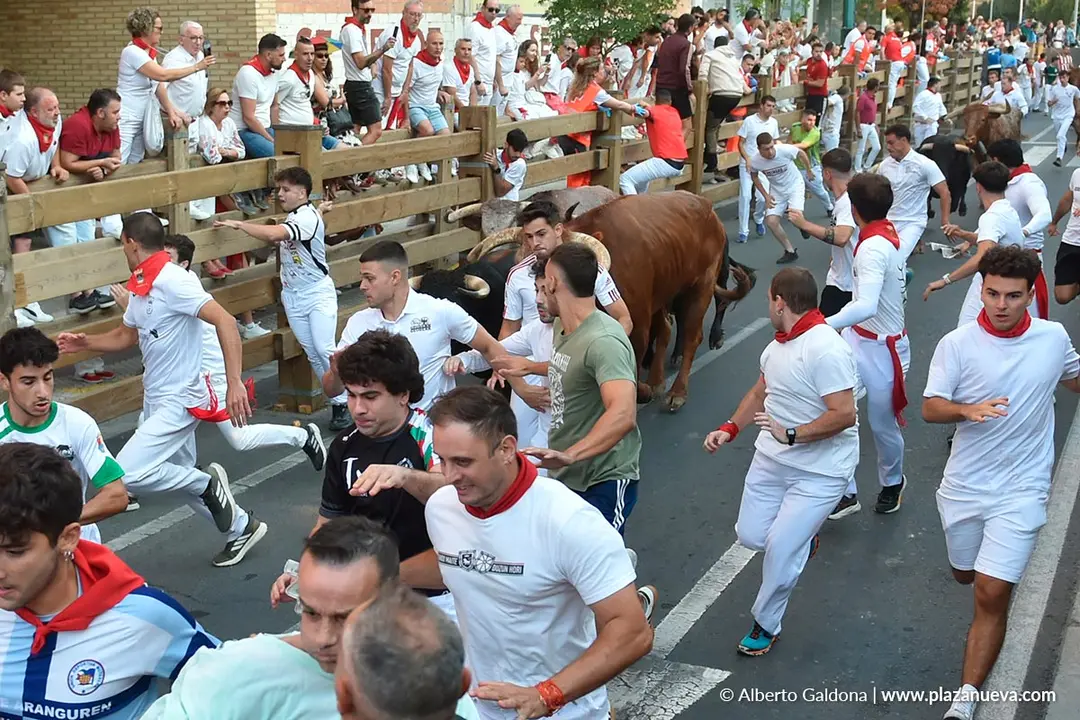 Fiestas de Tudela 2026 Encierro d&iacute;a 25 1