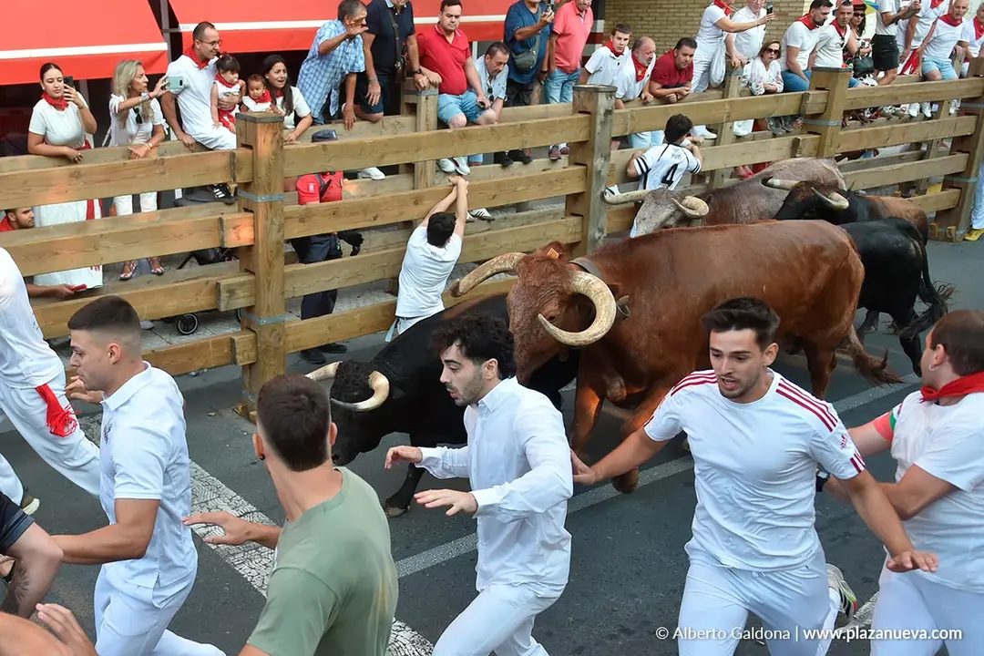 Fiestas de Tudela 2026 Encierro d&iacute;a 25 2