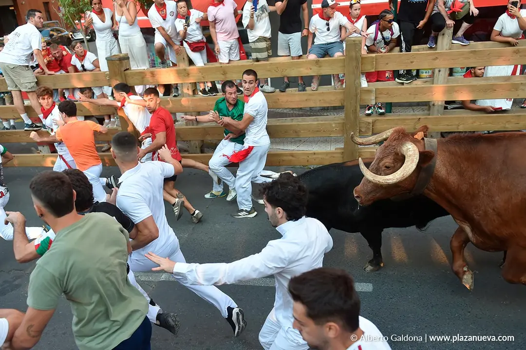 Fiestas de Tudela 2026 Encierro d&iacute;a 25 3