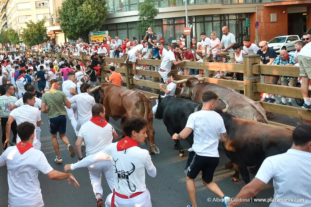 Fiestas de Tudela 2026 Encierro d&iacute;a 25 4