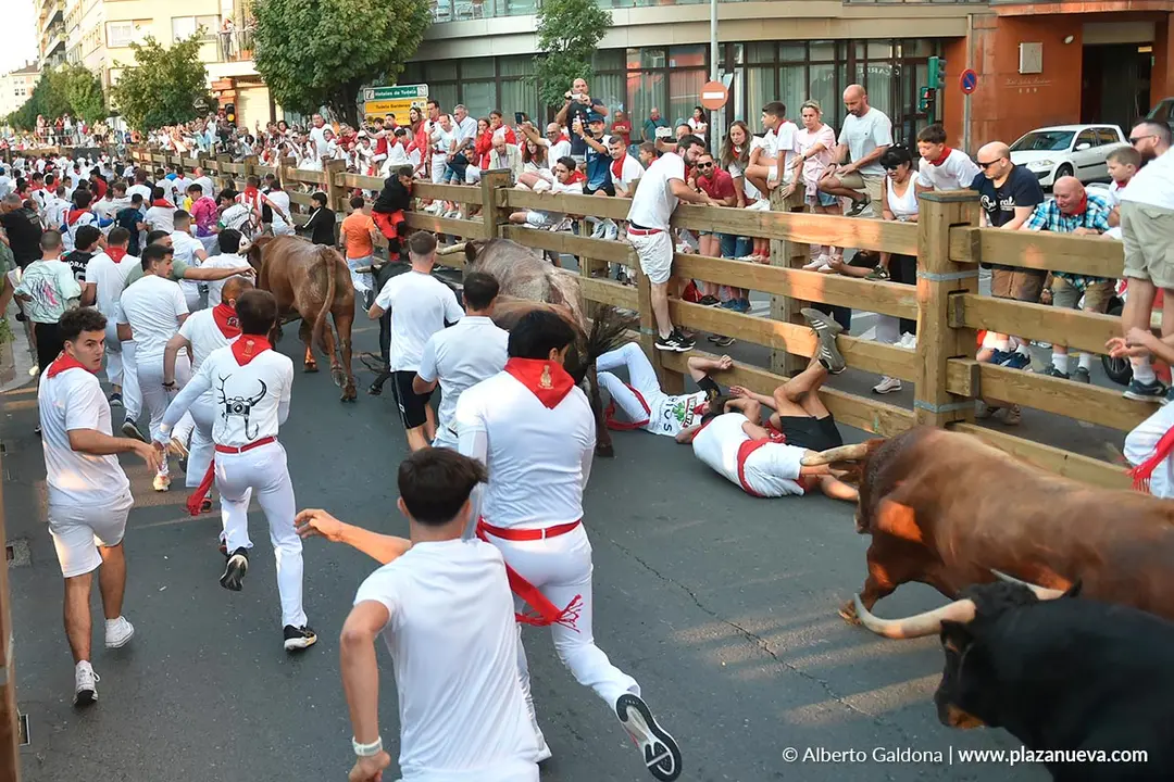 Fiestas de Tudela 2026 Encierro d&iacute;a 25 5