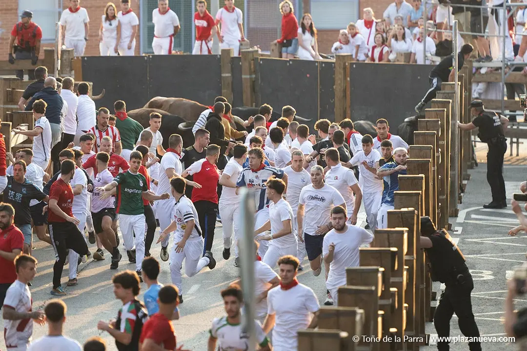 Fiestas de Tudela 2026 Encierro d&iacute;a 25 6