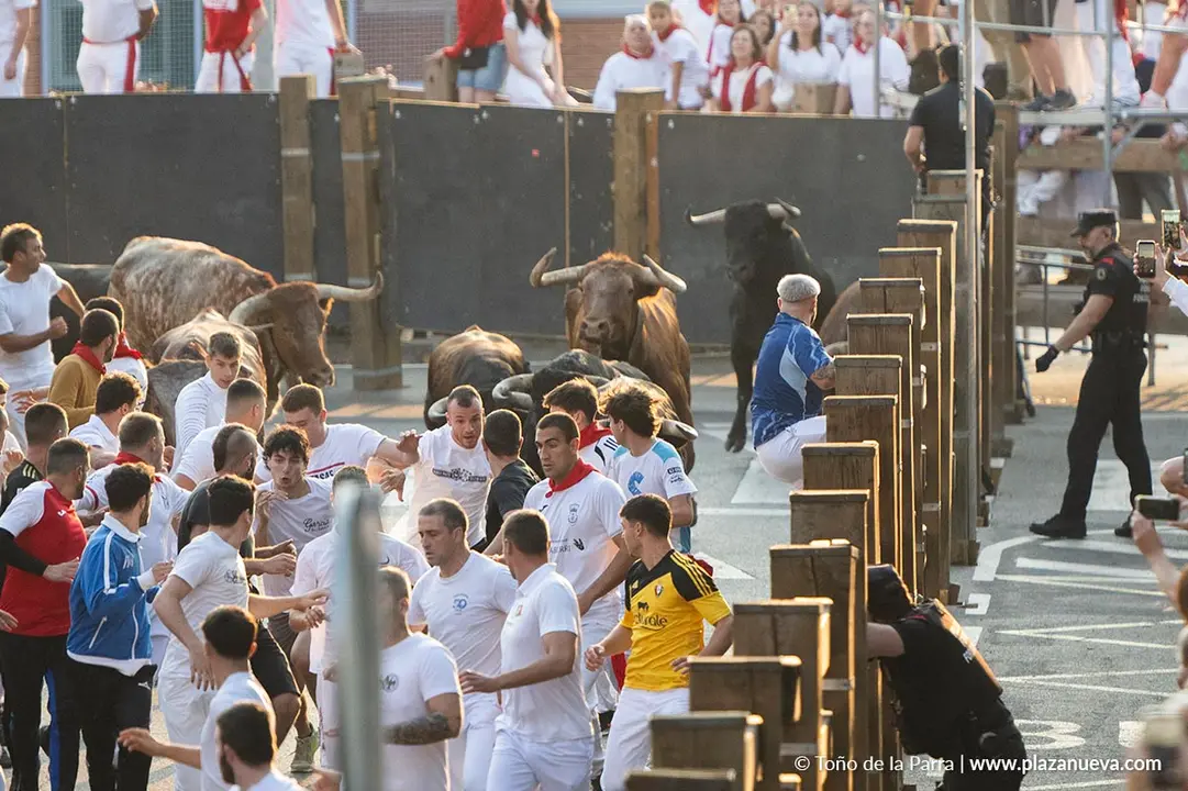 Fiestas de Tudela 2026 Encierro d&iacute;a 25 7