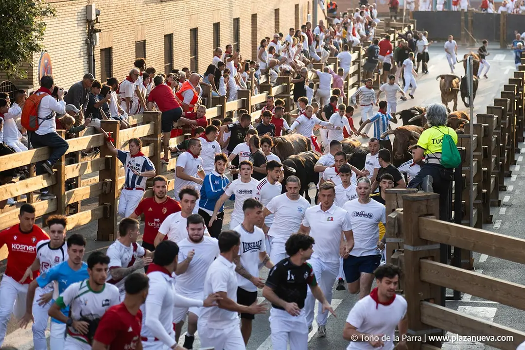 Fiestas de Tudela 2026 Encierro d&iacute;a 25 8
