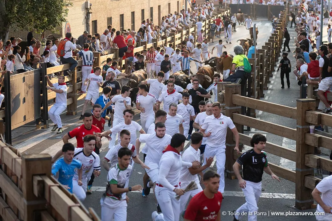 Fiestas de Tudela 2026 Encierro d&iacute;a 25 9