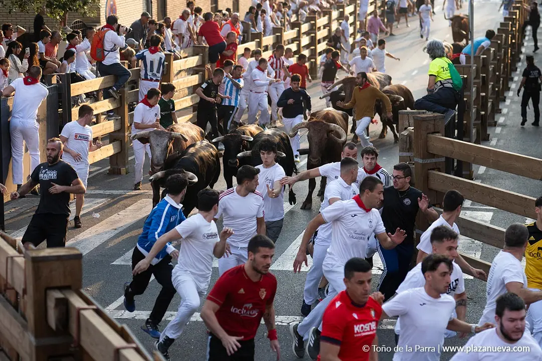 Fiestas de Tudela 2026 Encierro d&iacute;a 25 10