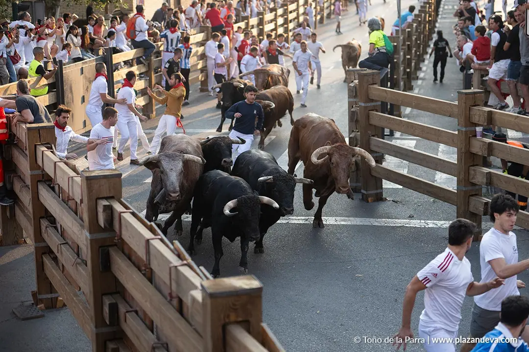 Fiestas de Tudela 2026 Encierro d&iacute;a 25 11