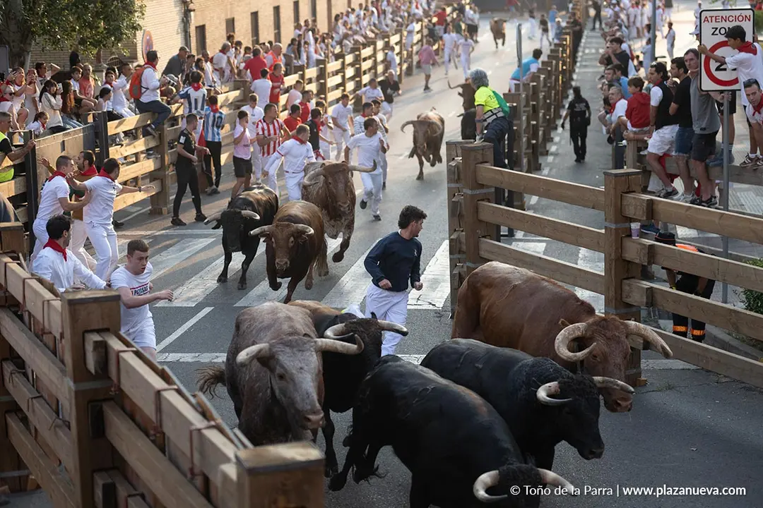 Fiestas de Tudela 2026 Encierro d&iacute;a 25 12