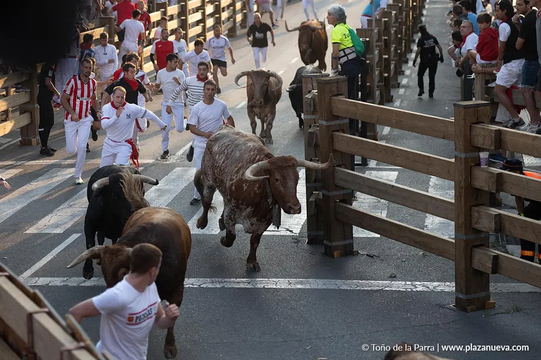 Fiestas de Tudela 2026 Encierro d&iacute;a 25 13