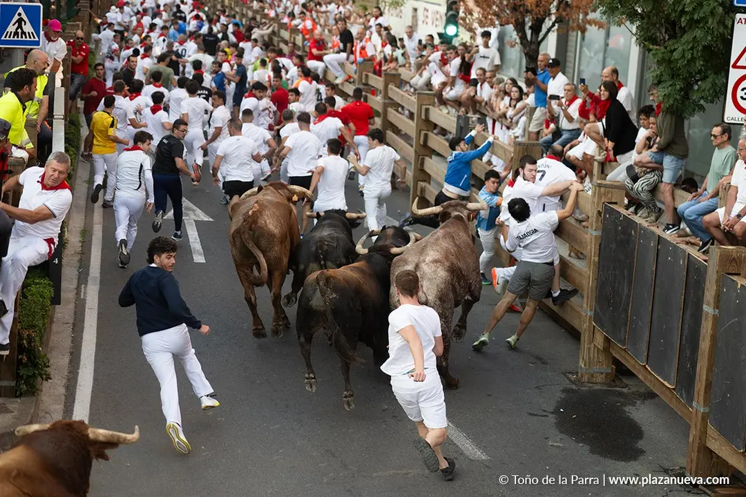 Fiestas de Tudela 2026 Encierro d&iacute;a 25 14