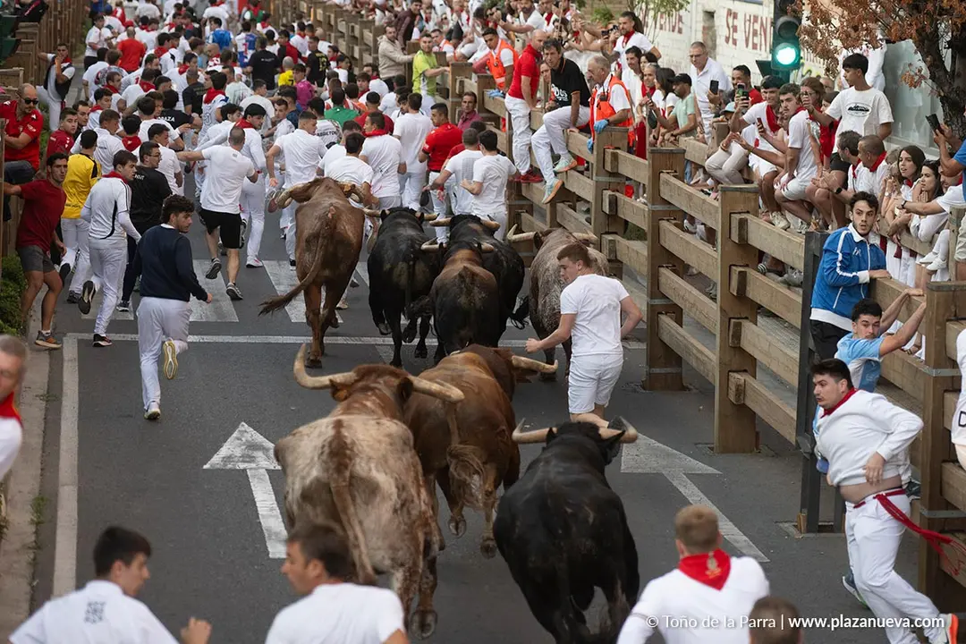 Fiestas de Tudela 2026 Encierro d&iacute;a 25 15
