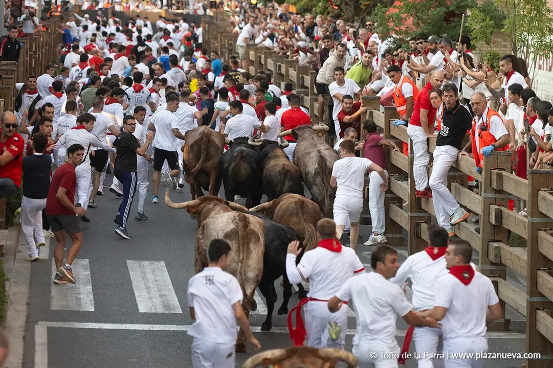 Fiestas de Tudela 2026 Encierro d&iacute;a 25 16