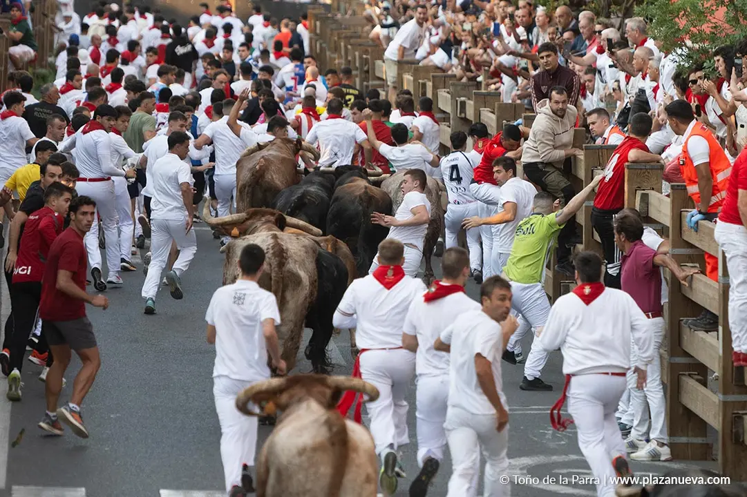 Fiestas de Tudela 2026 Encierro d&iacute;a 25 17