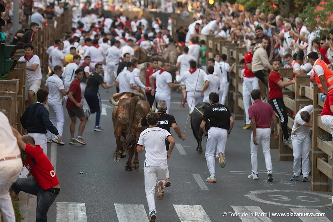 Fiestas de Tudela 2026 Encierro d&iacute;a 25 18