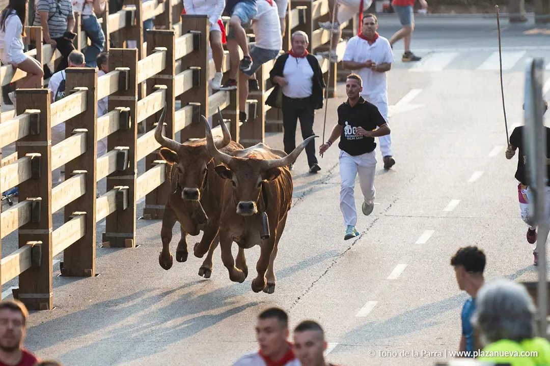 Fiestas de Tudela 2026 Encierro d&iacute;a 25 19