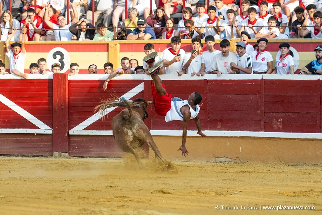 Fiestas de Tudela 2026 Suelta de vaquillas d&iacute;a 25 1
