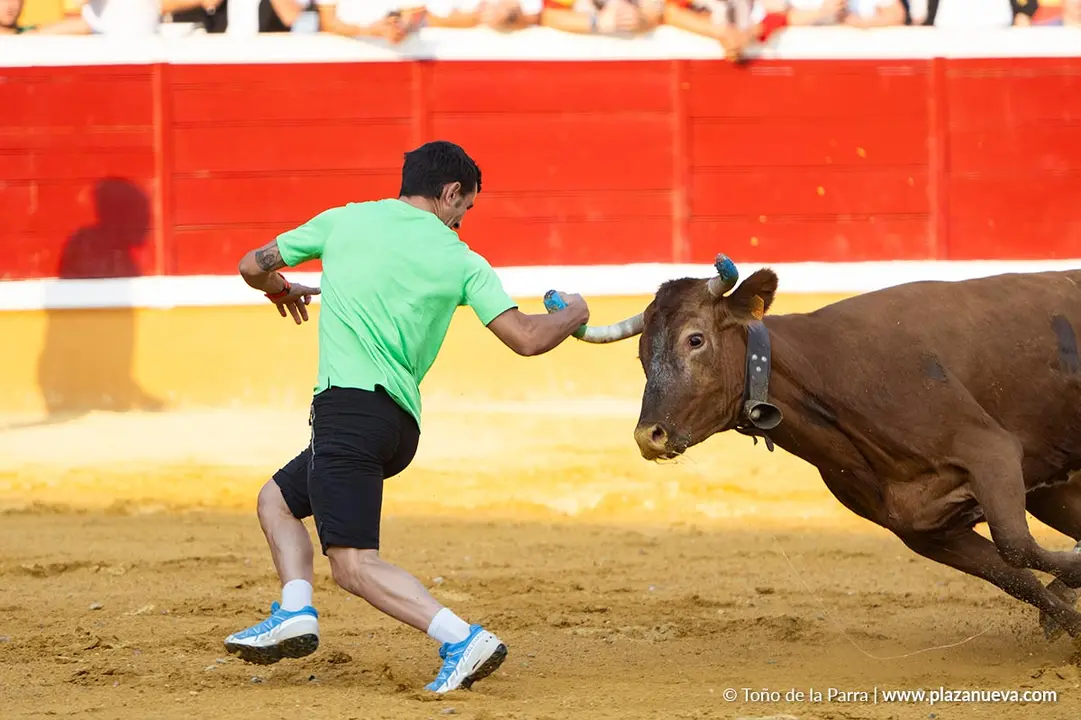 Fiestas de Tudela 2026 Suelta de vaquillas d&iacute;a 25 2