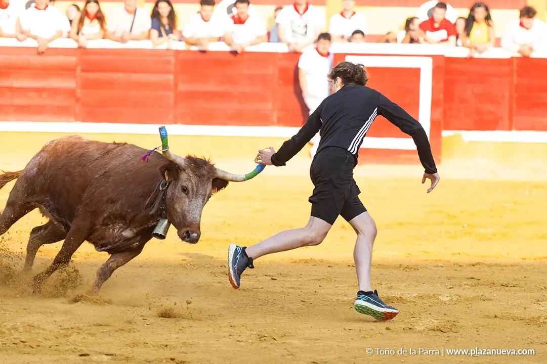 Fiestas de Tudela 2026 Suelta de vaquillas d&iacute;a 25 3
