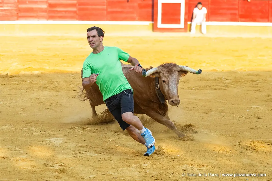 Fiestas de Tudela 2026 Suelta de vaquillas d&iacute;a 25 7
