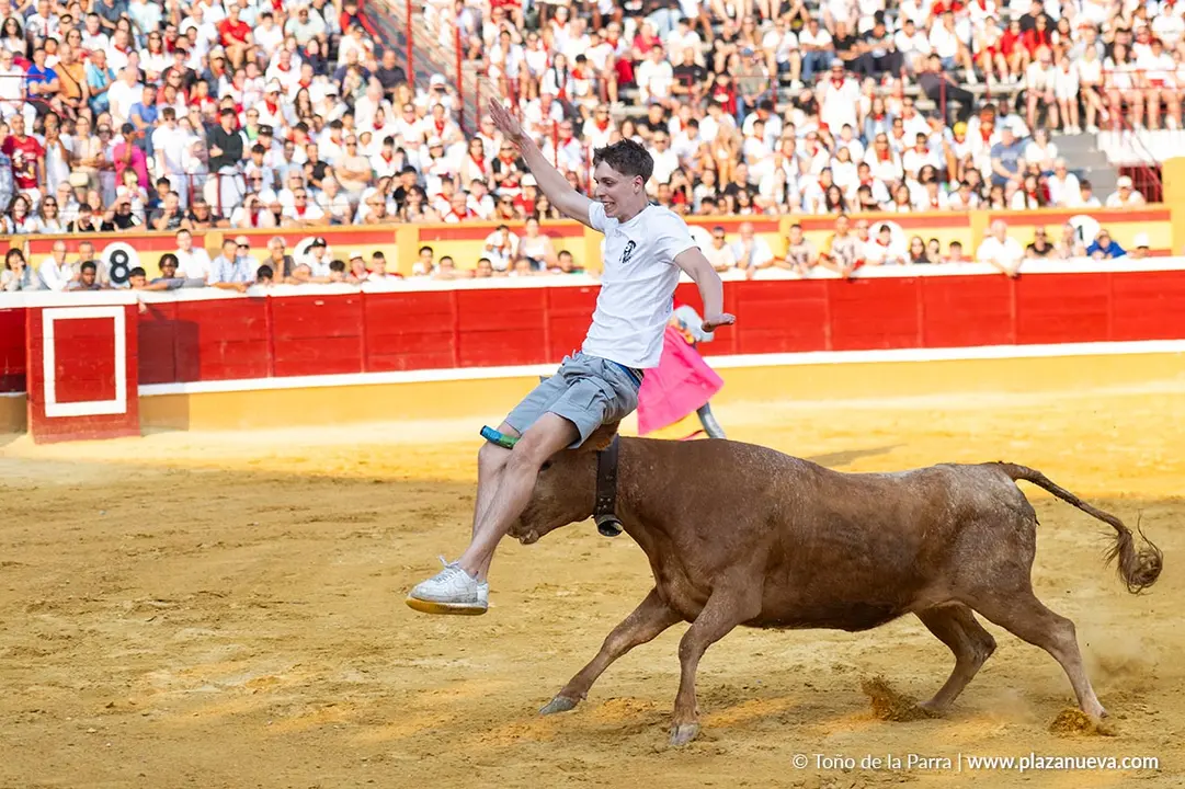 Fiestas de Tudela 2026 Suelta de vaquillas d&iacute;a 25 8