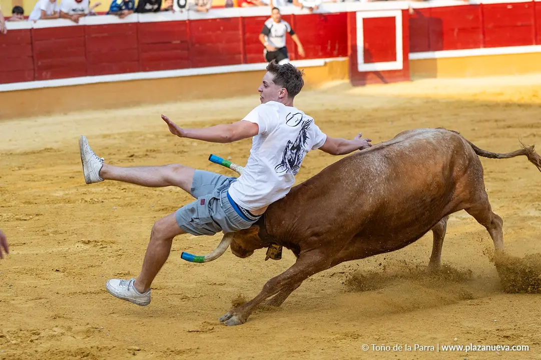 Fiestas de Tudela 2026 Suelta de vaquillas d&iacute;a 25 9