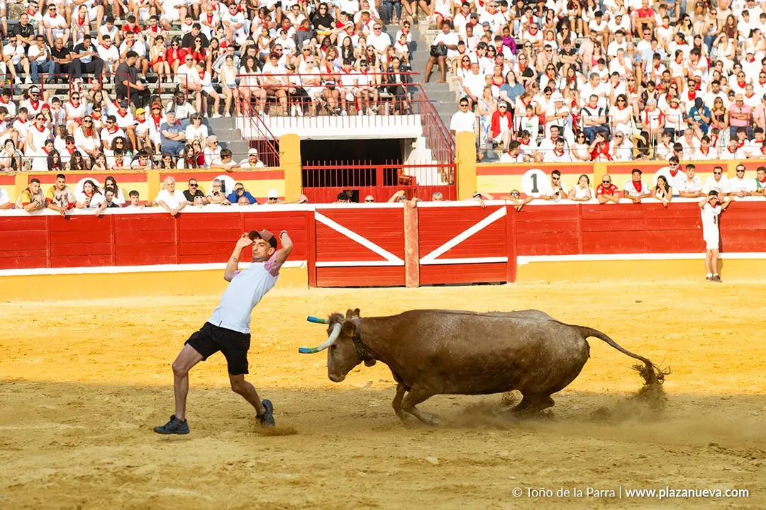 Fiestas de Tudela 2026 Suelta de vaquillas d&iacute;a 25 11