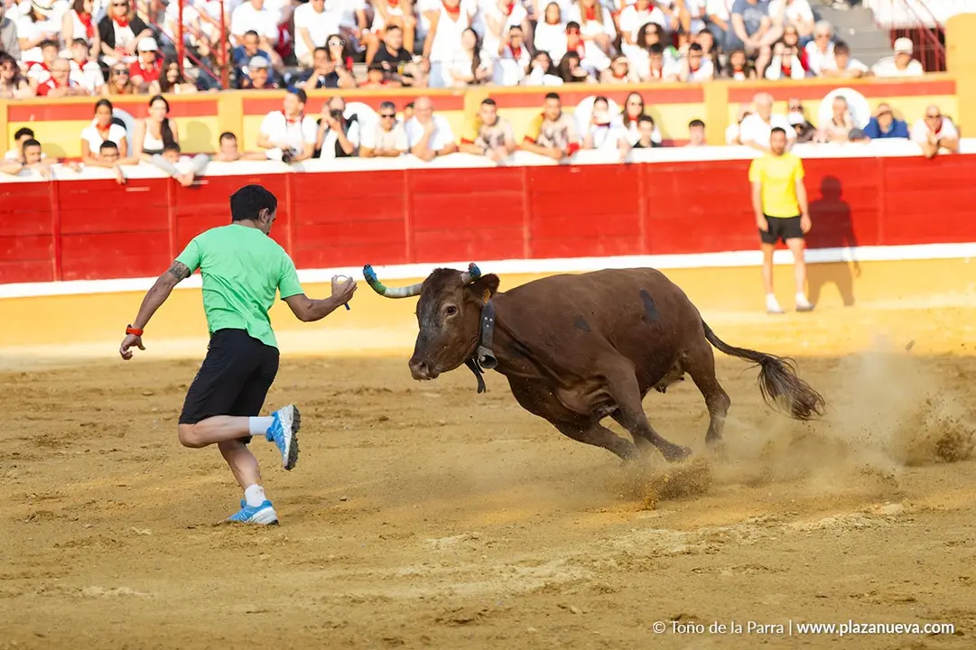Fiestas de Tudela 2026 Suelta de vaquillas d&iacute;a 25 13