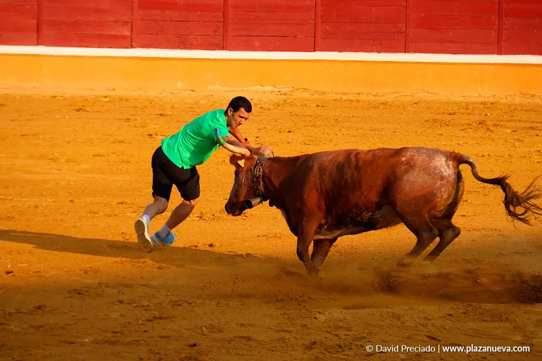 Fiestas de Tudela 2026 Suelta de vaquillas d&iacute;a 25 14