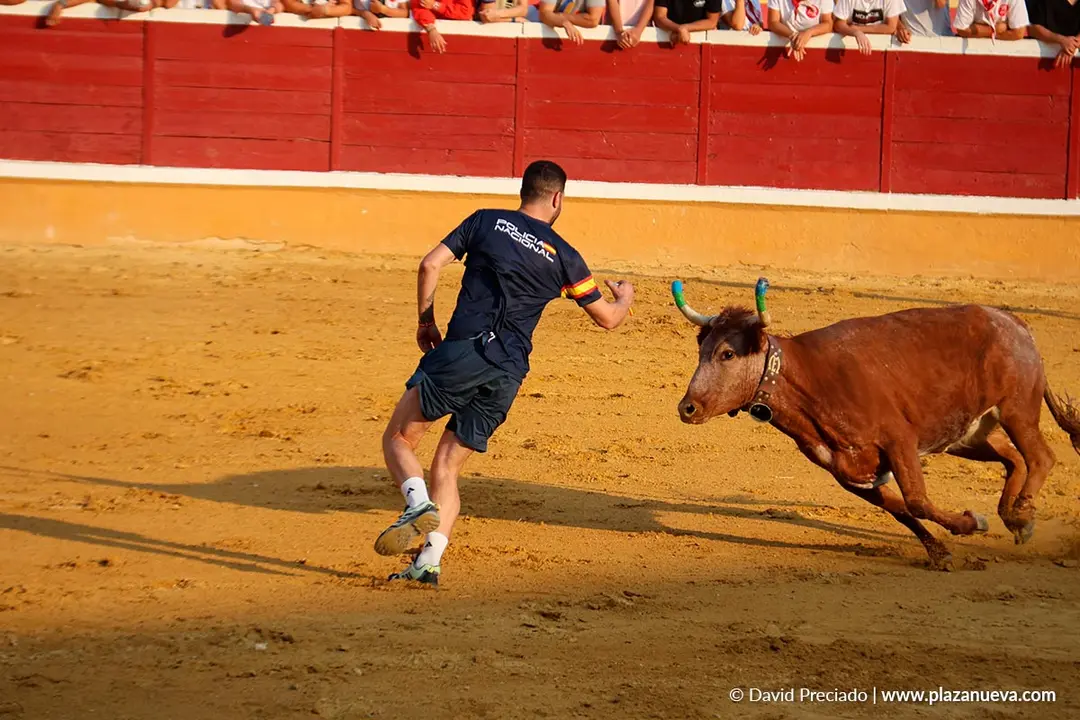 Fiestas de Tudela 2026 Suelta de vaquillas d&iacute;a 25 16