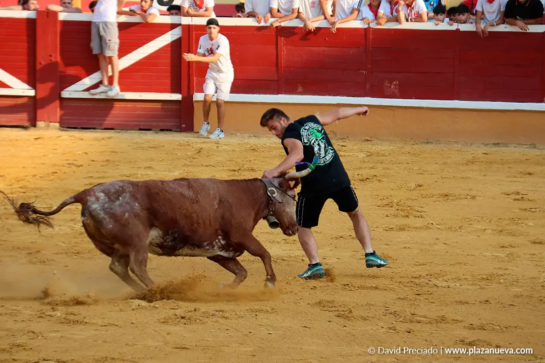 Fiestas de Tudela 2026 Suelta de vaquillas d&iacute;a 25 19