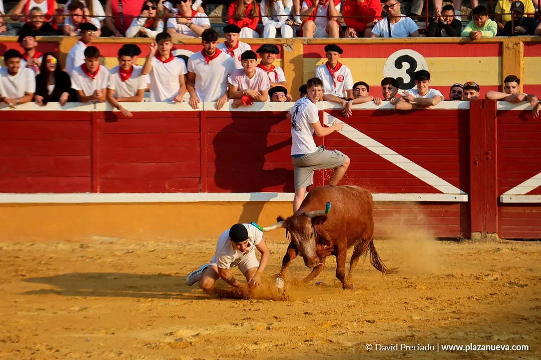 Fiestas de Tudela 2026 Suelta de vaquillas d&iacute;a 25 20
