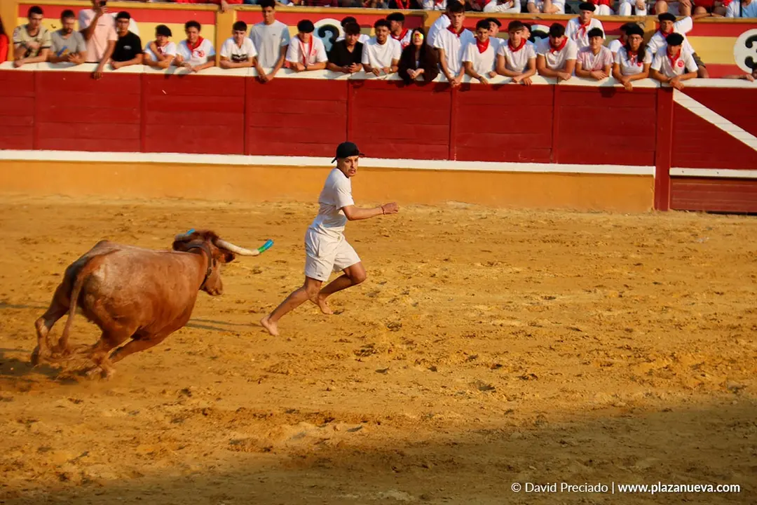 Fiestas de Tudela 2026 Suelta de vaquillas d&iacute;a 25 24
