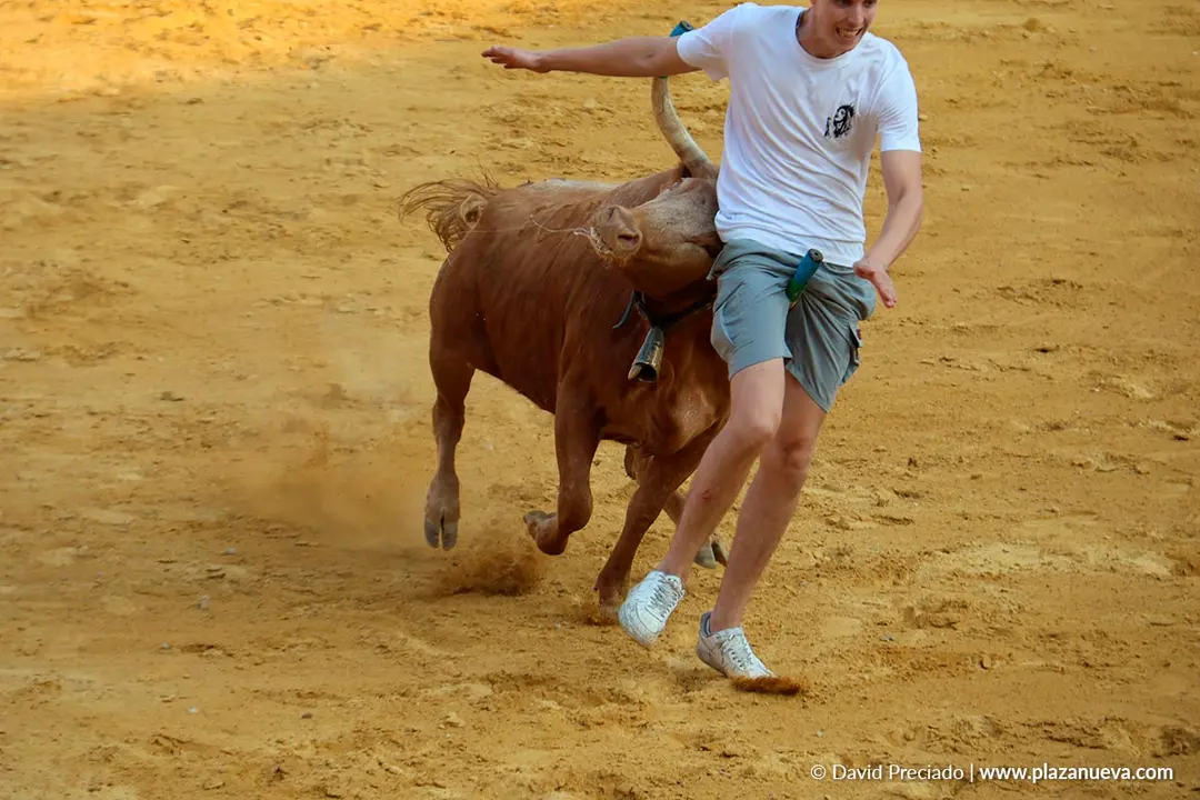 Fiestas de Tudela 2026 Suelta de vaquillas d&iacute;a 25 23