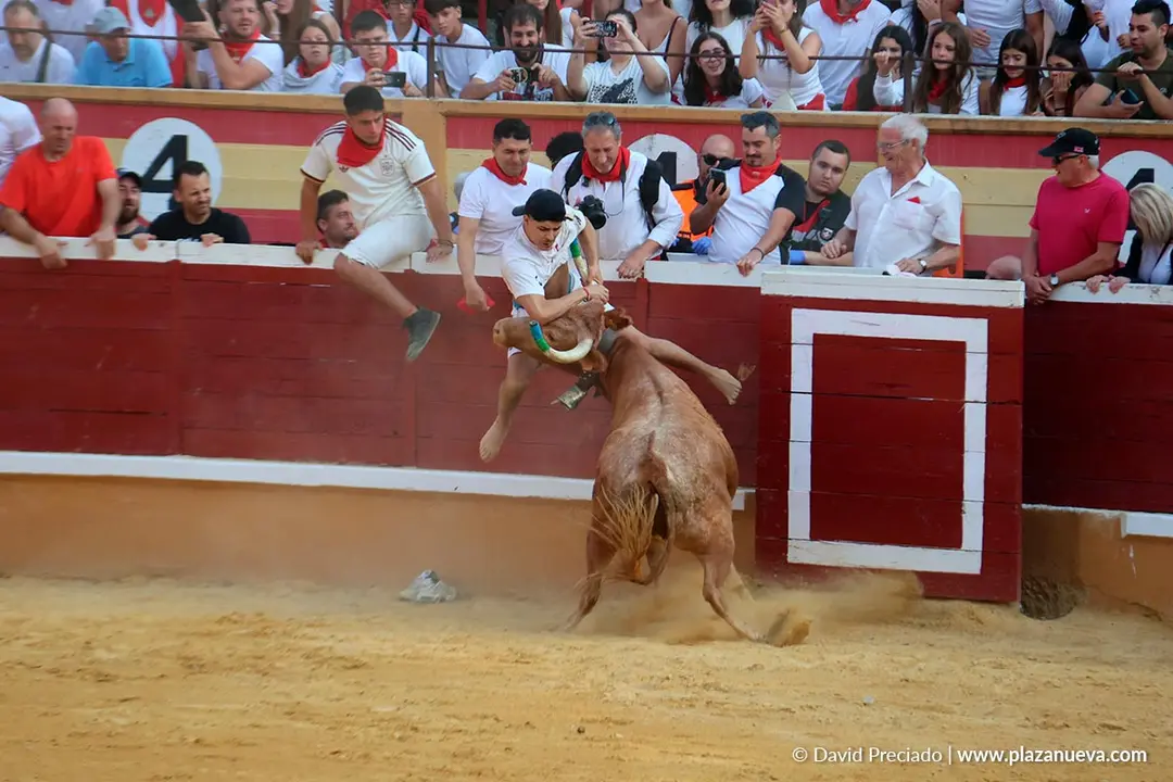 Fiestas de Tudela 2026 Suelta de vaquillas d&iacute;a 25 25