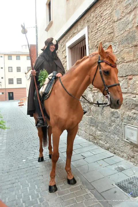 Fiestas de Tudela 2026 Procesi&oacute;n de Santiago 5