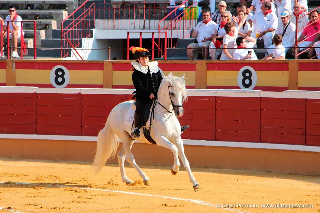 Fiestas de Tudela 2026 Novillada 12