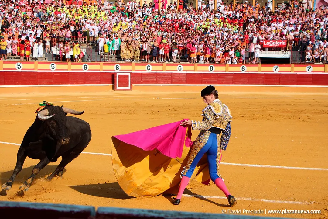 Fiestas de Tudela 2026 Novillada 14