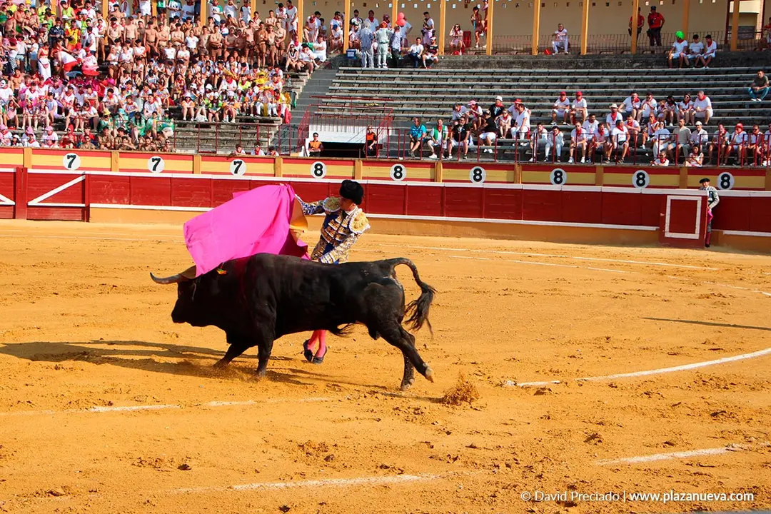 Fiestas de Tudela 2026 Novillada 17