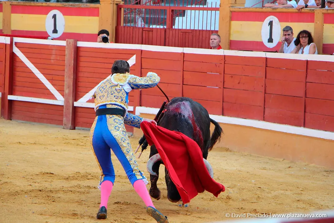 Fiestas de Tudela 2026 Novillada 20